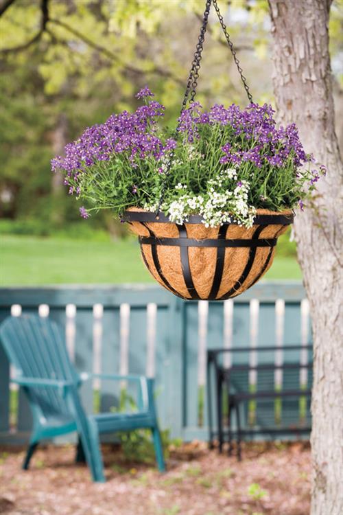 14 hanging basket planter Hanging Basket 14" Black