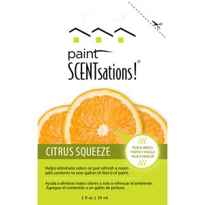 Paint SCENTsations Citrus Squeeze PS106 1 Oz Packet