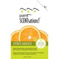 Paint SCENTsations Citrus Squeeze PS106 1 Oz Packet