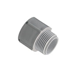 Cantex 5140104 3/4 in. Male Terminal Adapter