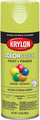 Krylon COLORmaxx Gloss Spray Paint