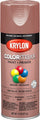 Krylon COLORmaxx Metallic Spray Paint