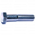 Coarse Hex Cap Screws - 1/2