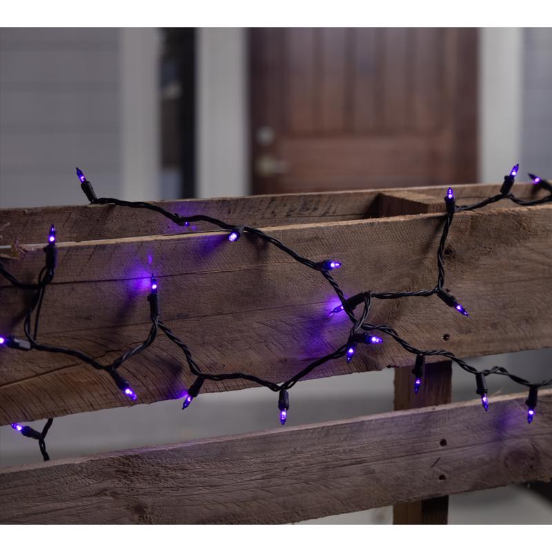 Halloween purple string lights on a wooden surface with a blurred background