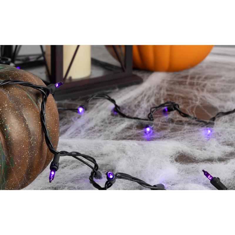 Halloween-themed string lights with pumpkins on a spider web