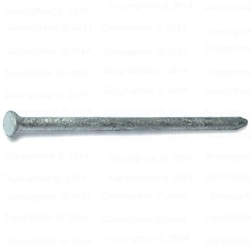 Casing Nail on a white background