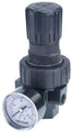 Tru-Flate 1/4 In NPT Compact Regulator with Gauge 24-404