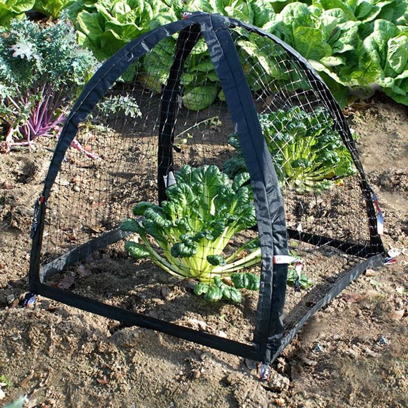 Black garden netting protecting young plants in a garden bed