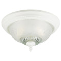 Westinghouse Two Light Ceiling Light 66162