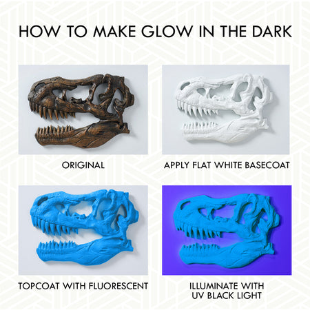 Instructional graphic titled 'HOW TO MAKE GLOW IN THE DARK' showing four panels with a dinosaur skull model: original dark brown, white basecoat applied, blue fluorescent topcoat, and glowing blue under UV black light.
