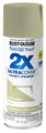 Rust-Oleum Painter's Touch 2X Ultra Cover Satin Spray Paint