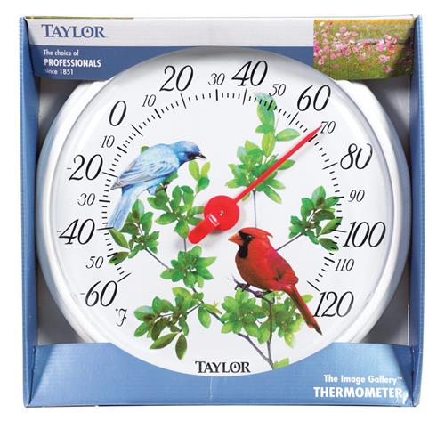 Taylor 6733 Cardinal-Bunting Thermometer