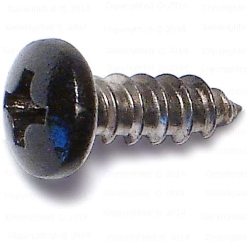 Stainless Steel Black Painted Head Shutter & Storm Window Screws