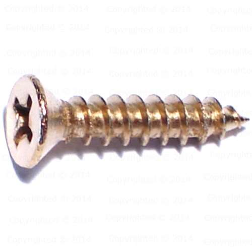 Phillips Brass Finish Flat Hinge Screws