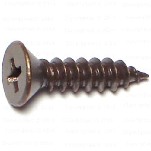 Phillips Antique Brass Finish Flat Hinge Screws