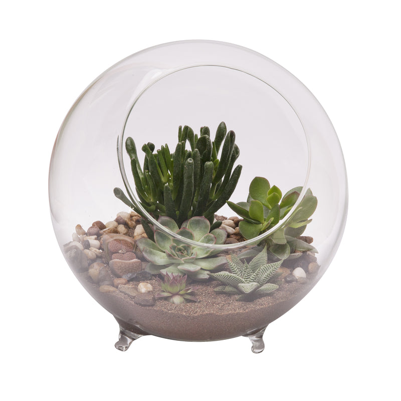 Panacea 9.5 in. H X 10.25 in. D Glass Sphere Terrarium 82145