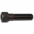 Coarse Thread Socket Cap Screws - 5/8