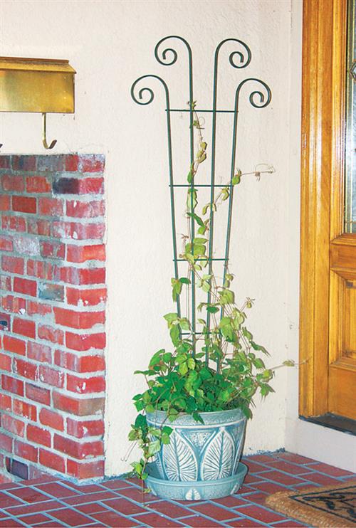 panacea wood trellis Panacea 48" Waved Scroll Trellis 89631 Panacea 48" Waved Scroll Trellis  89631
