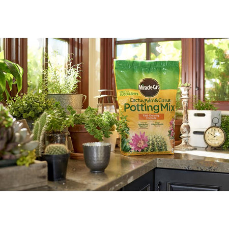 Miracle Gro Cactus, Palm & Citrus Soil 8 Qt 72078432-1