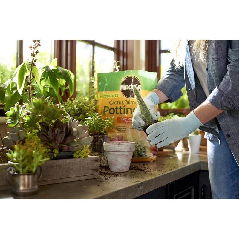 Miracle Gro Cactus, Palm & Citrus Soil 8 Qt 72078432-4