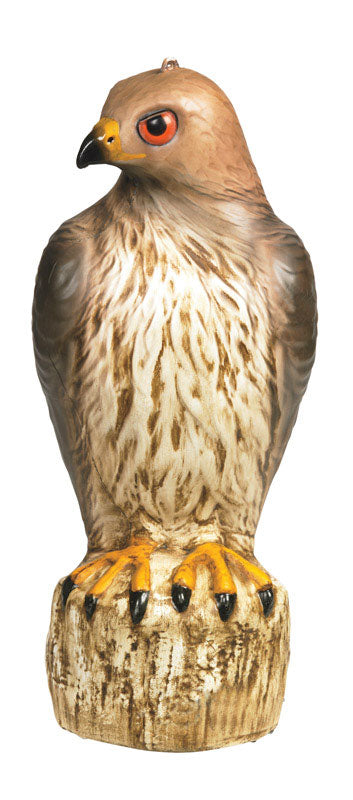 Bird-B-Gone Red Tailed Hawk Decoy MMRTH1