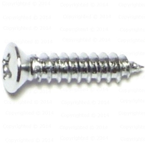 Phillips Jackson Head Auto Trim Screws - Chrome Finish