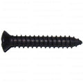 Phillips Jackson Head Auto Trim Screws - Black Finish