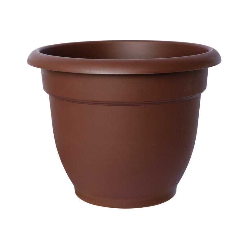 Bloem 8" Ariana Planter Chocolate 20-56308CH