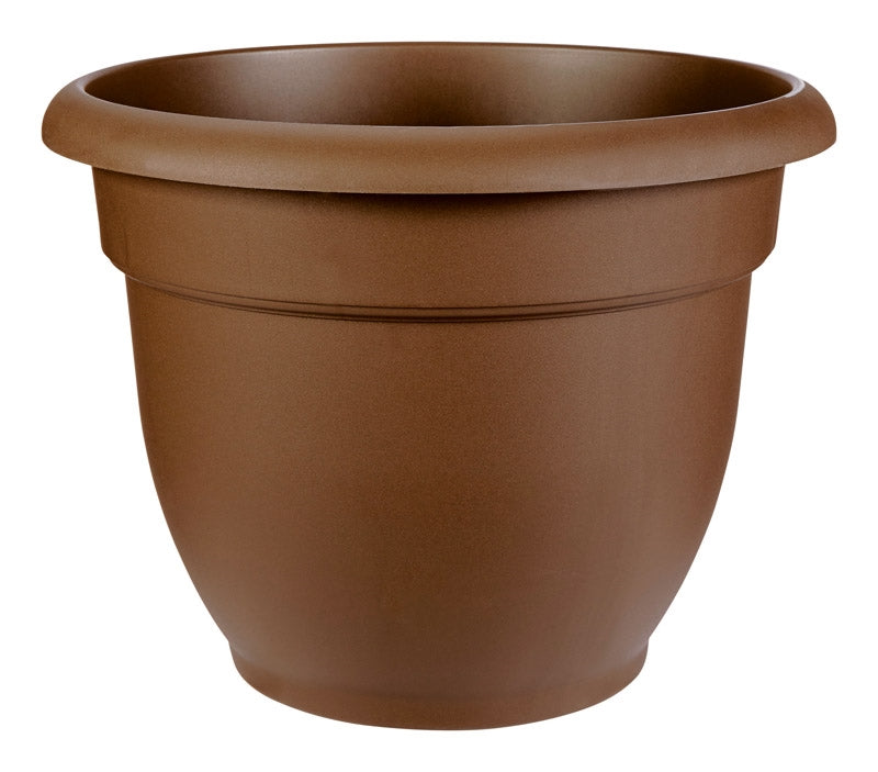 Bloem 12" Ariana Planter Chocolate 20-56312CH