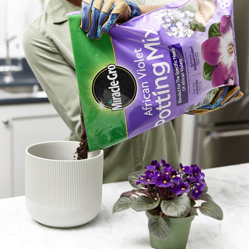 Miracle Gro African Violet Potting Mix 8 Qt 72678430-2