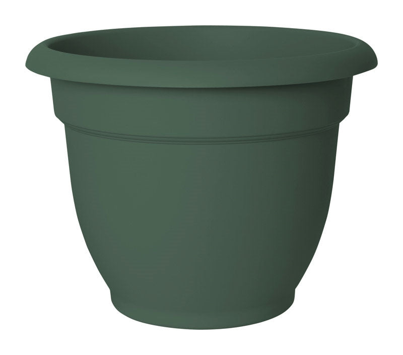 Bloem 6" Ariana Planter Thyme Green 20-56406