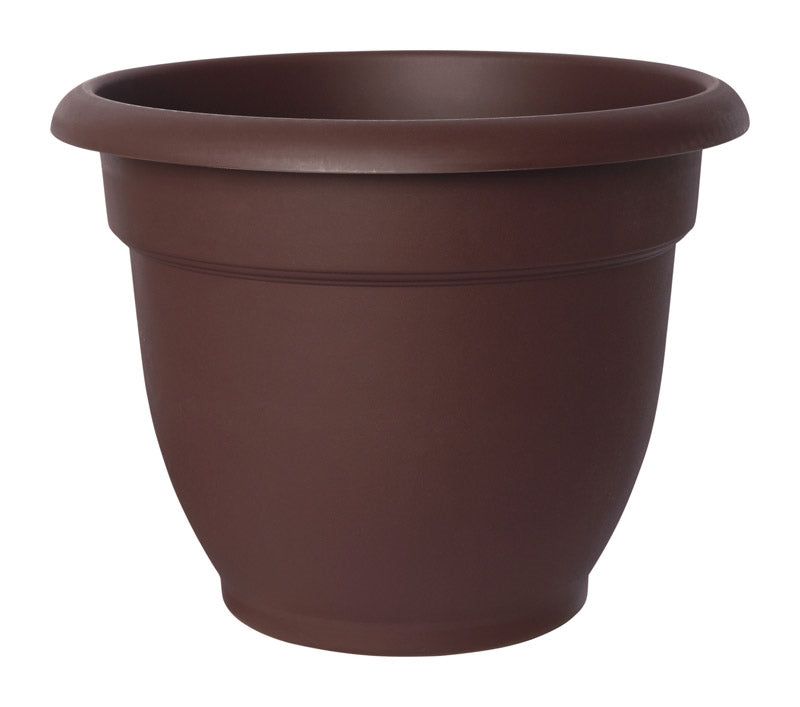 Bloem 6" Ariana Planter Chocolate 20-56306CH