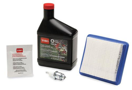 Toro WPM Maintenance Kit Briggs 20234