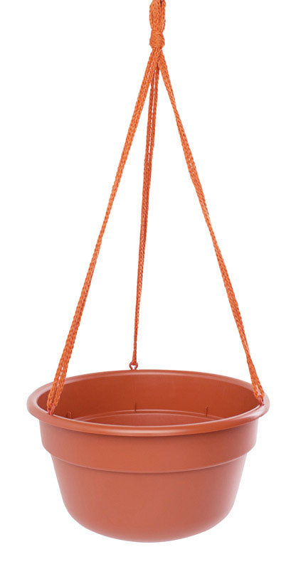 bloem hanging planter Bloem 12" Dura Cotta Hanging Basket