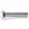 Stainless Steel Coarse Full Thread Tap Bolts - 3/8