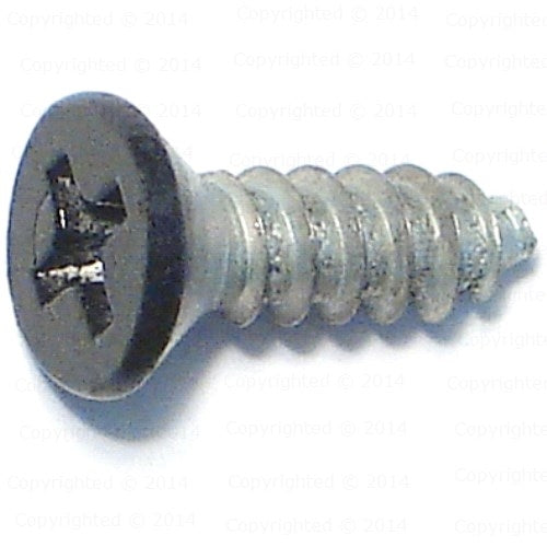 Phillips Black Finish Flat Hinge Screws