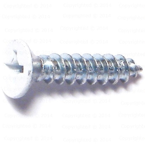 Phillips White Finish Flat Hinge Screws