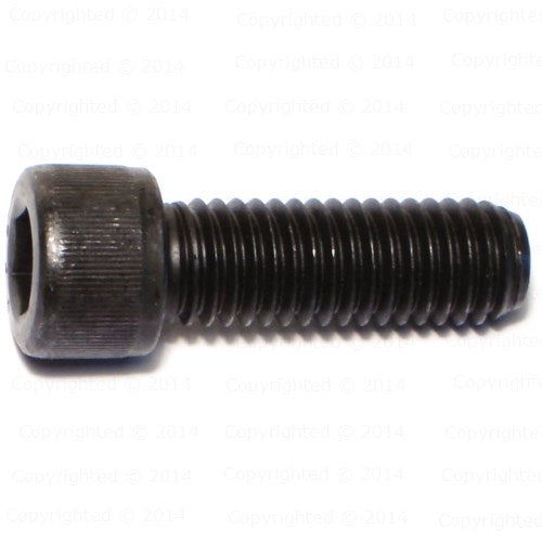 Socket Cap Screws - 1/2" Diameter