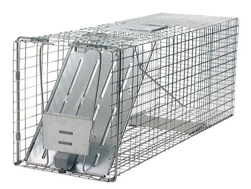 Havahart Large 1-Door Animal Trap 1079-B