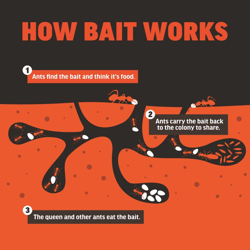 Amdro Ant Bait Granules how it works infographic