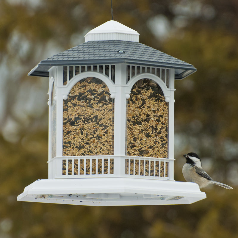 Bird feeding from the Audubon Hopper Deluxe Gazebo Wild Bird Feeder NA6262