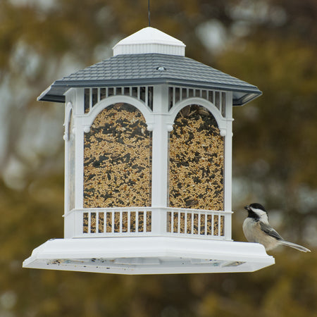 Bird feeding from the Audubon Hopper Deluxe Gazebo Wild Bird Feeder NA6262