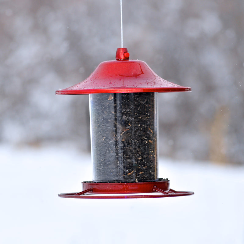 Perky-Pet Red Sparkle Panorama Feeder 312R hanging from a tree
