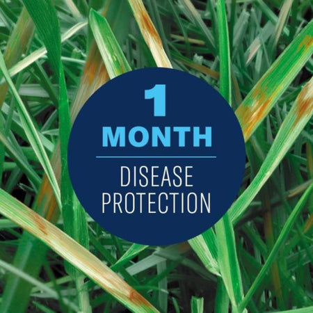 BioAdvanced Fungus Control for Lawns 701270A disease protection infographic