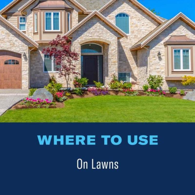 BioAdvanced Fungus Control for Lawns 701270A where to use