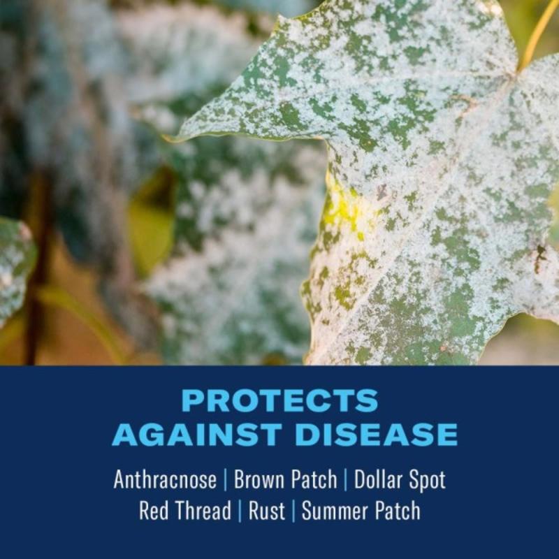 BioAdvanced Fungus Control for Lawns 701270A protects against infographic