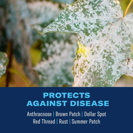 BioAdvanced Fungus Control for Lawns 701270A protects against infographic