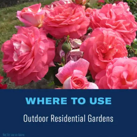 BioAdvanced 701330A Dual Action Rose & Flower Insect Killer where to use