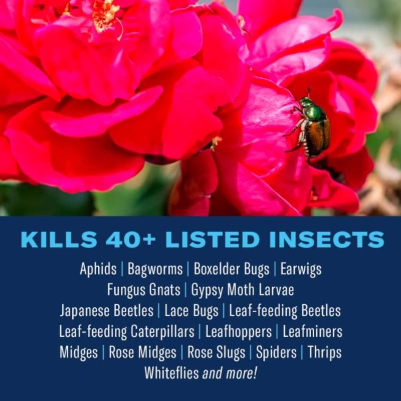 BioAdvanced 701330A Dual Action Rose & Flower Insect Killer listed insects infographic