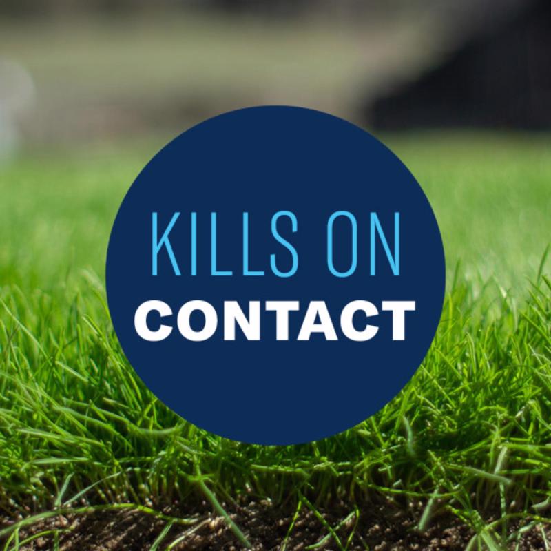 BioAdvanced 820123B Weed and Crabgrass Killer kills on contact